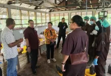 Uji Kompetensi Kejuruan SMKN 4 Jayapura Masuki Tahap Puncak
